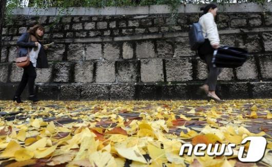 [사진]깊어가는 가을, 덕수궁 돌담길