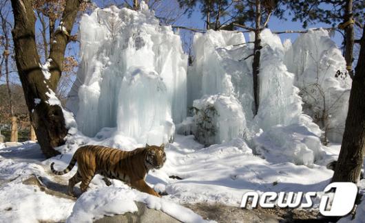 []ȣ ܿﳪ