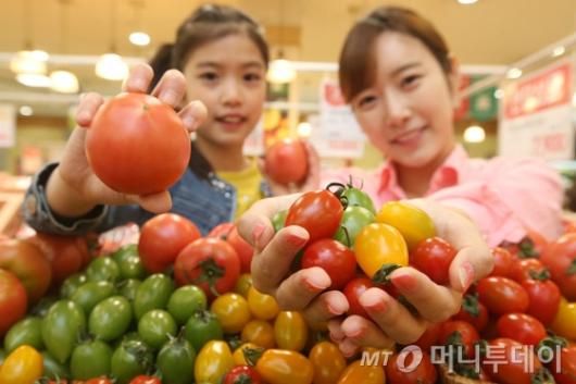 [사진]롯데마트, '당도 높고 저렴한 방울토마토 맛보세요'