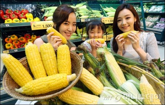 []Ȩ÷, ʴ (Super Sweet corn) Ǹ