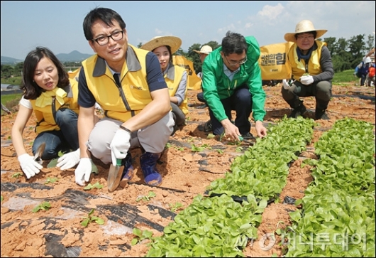 [사진]토종 배추 심는 최성재 이마트 식품본부장