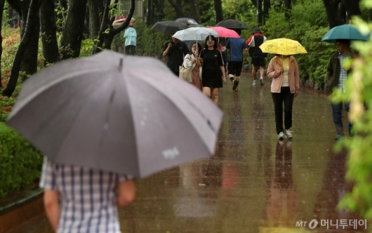 [사진]비와 함께 산책