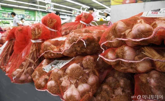 [사진]마늘 가격 하락세 지속...정부, 1만5천톤 긴급 수매
