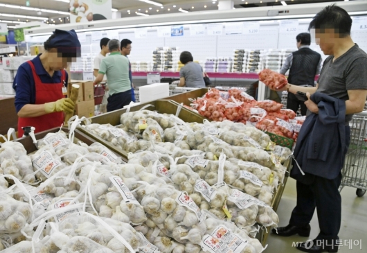 [사진]마늘 가격 하락세 지속...정부 1만5000톤 긴급 수매