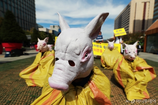[사진]'돼지 살처분...생매장은 막아주세요'