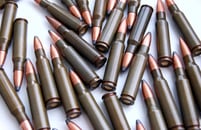 �����뼭 ��ź �� ź���� �߰ߡ�\