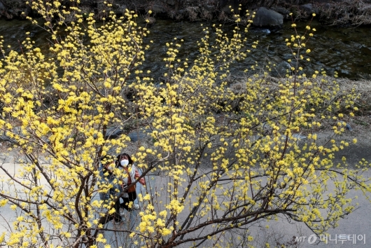 [사진]'어느새 봄'