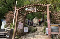 �� �ñ��� �湮�� 4.6���� �þ ��