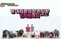 �߱��� ū�� ���Ѵ�? ���� ����� ���[����]