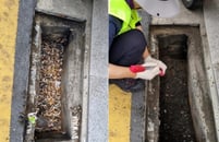 오늘 기사 망했어요, 이 분들 '덕분에'…