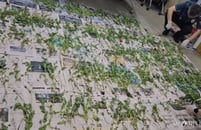 �޴��� �� ���� \