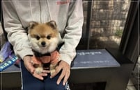 '�ʹ� ������, �Ϳ�����'�������� ������� �����淡