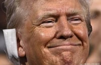 Ʈ���� �ǽ��� ���۱�? ����� Ȯ��