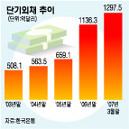 손비한도 축소 등 단기외채 억제 추진