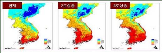 ↑한반도 기온 변화 시나리오 (자료 : 환경부) 