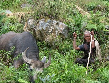 ↑관광의 혜택을 받지 못하는 마을 주민은 농사와 가축 사육으로 어렵게 생계를 잇는다.