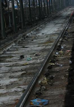 ↑고락푸르역의 철로. 쓰레기를 <br>
창문 바깥으로 던지는 게 '인도 방식'<br>
탑승문화다.