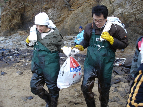 이경규, 김구라 등 원유 오염지역 자원봉사