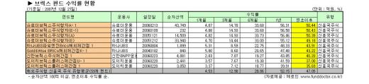 "해외펀드 하려면 브릭스펀드" 41% 응답