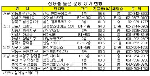 전용률 80~90%대 상가 잇따라 분양