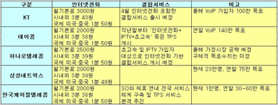 ▲주요 인터넷전화업체의 사업계획 현황