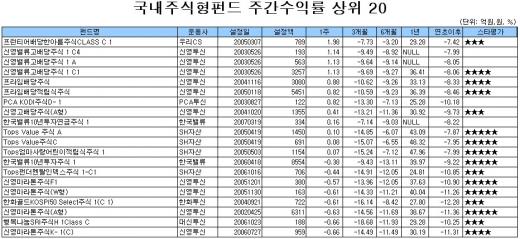 국내 주식형펀드 7주째 손실