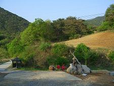 [추천매물]경기 용인시 동백동 토지 등