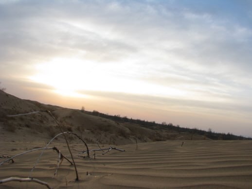 ↑ 중국 네이멍구 쿠부치 사막의 전경. 길이 400km, 폭 30km로 길게 <br>
뻗어 있는 이 사막에는 연중 100~300mm의 비가 내린다.