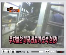 ↑美쇠고기의 위험성을 고발한 MBC 'PD수첩'