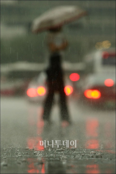 [사진]'장마' 비오는 날의 풍경