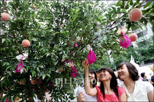 [사진]'더운 여름 복숭아로 이겨내세요'