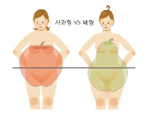 [건강칼럼]뱃살 빼기