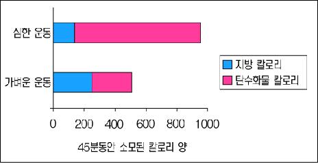 [건강칼럼]뱃살 빼기