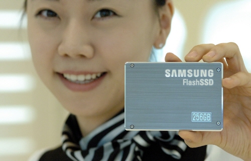 삼성전자가 양산에 돌입한 256GB SSD.