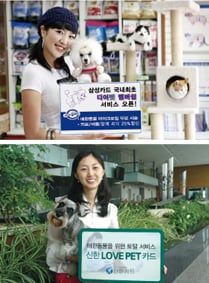 '또 하나의 가족' 애견…