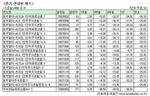 손실 펀드, 만기 연장  '버티기'