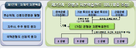 은행 자본확충은 두마리 토끼 몰이