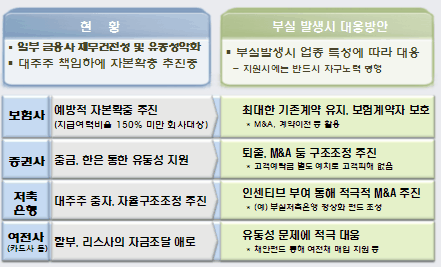 은행 자본확충은 두마리 토끼 몰이