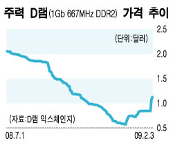 D램 가격 급등에도 환하게 못 웃는 이유