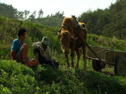 韓독립영화 1위 '워낭소리', 이미 2배 수익