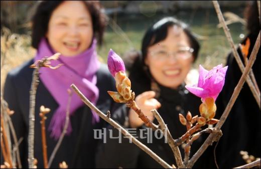 [사진]봄꽃에 반가운 시민들