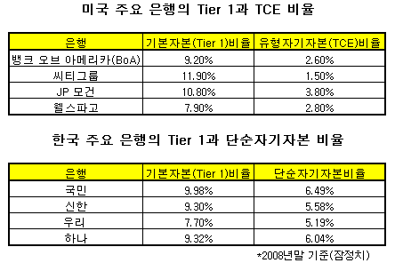 은행 건전성 잣대 'TCE' 급부상