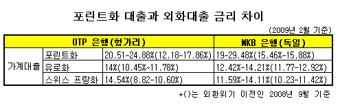 '헝그리' 헝가리 외화대출 비명