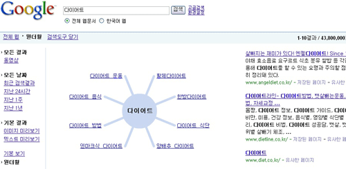 ↑구글(www.google.co.kr)에서의 원더힐 이용 화면