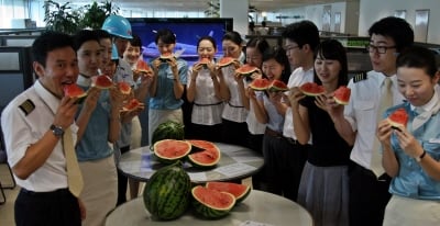 ↑서울 공항동 대한항공 본사빌딩에서  직원들이 수박을 나눠 먹으며 즐거워하고 있다. <br>
