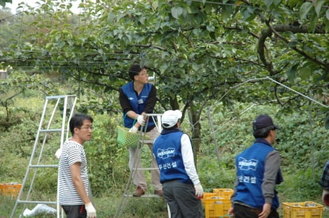 두산건설 자원봉사단, 수확기들녘 봉사활동