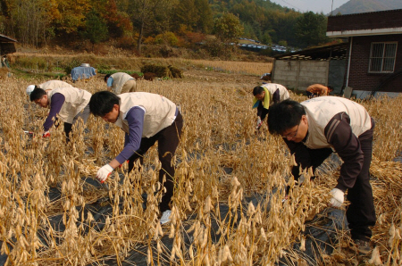 기아차 노사, 강원도 홍천서 이웃사랑 실천