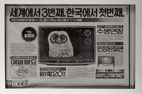 []1975 ڳ TV Ź 