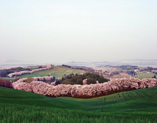 ↑충남 서산시 원벌마을