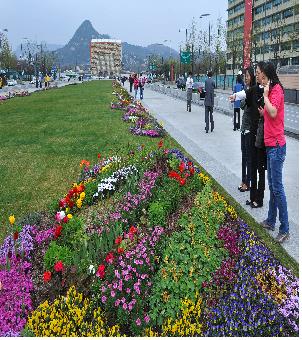 광화문광장, 행사없는 '꽃밭'광장으로